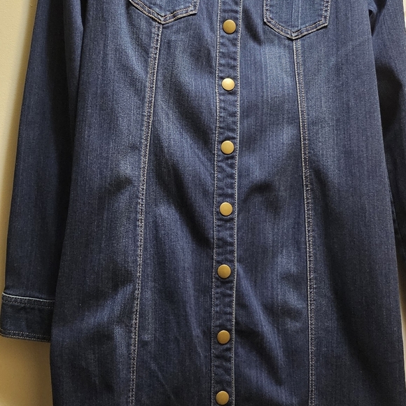 Denim Dress - Picture 11 of 16